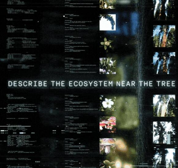 Strategic Joy & Intentional Tech (WGSN Tech 2024)